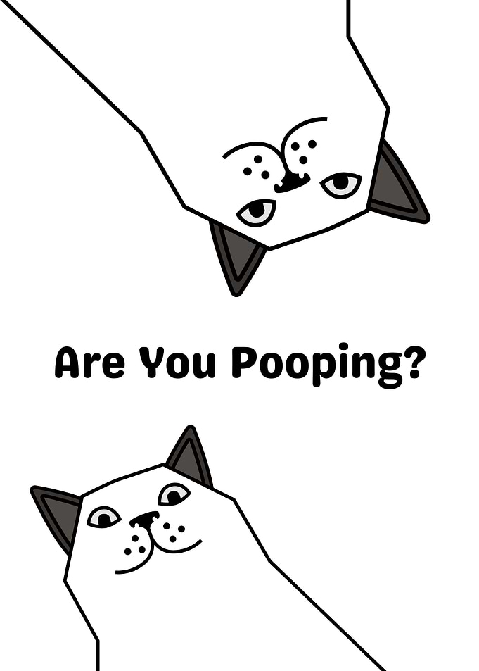Funny Cats Asking 'Are You Pooping?'