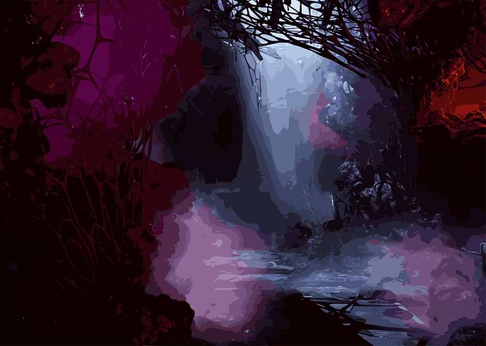 Mysterious Dark Forest Path Directive 8020