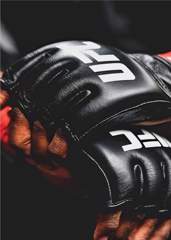 UFC MMA Gloves