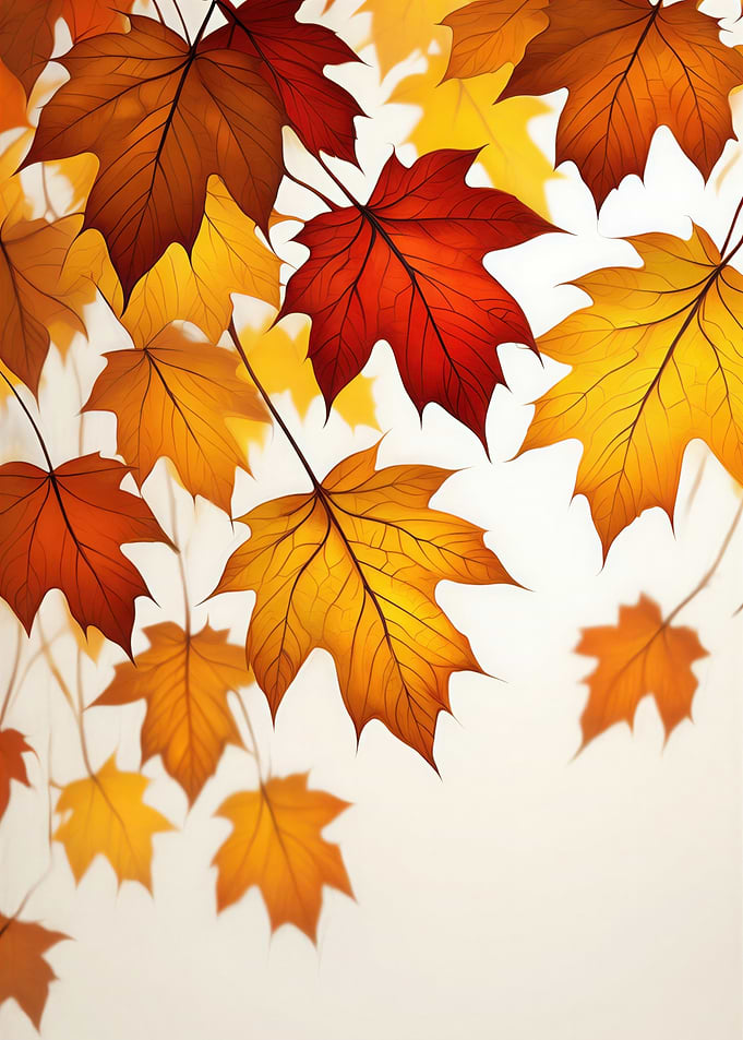 Autumn Maple Leaves