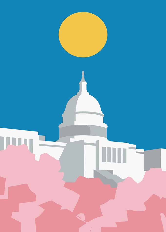 Capitol Building with Cherry Blossoms and Sun