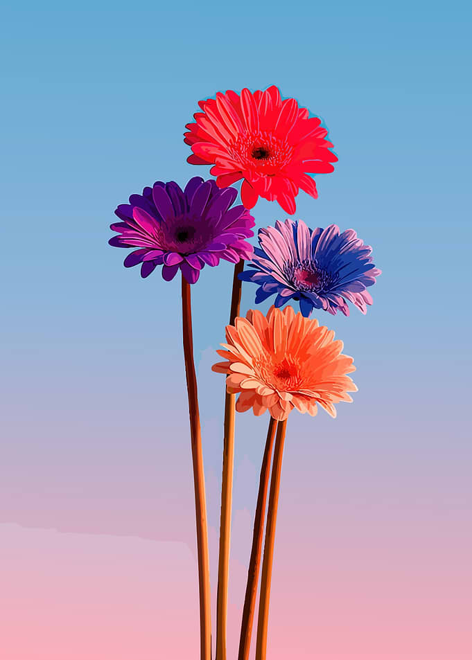 Colorful Gerbera Daisies Against Gradient Sky