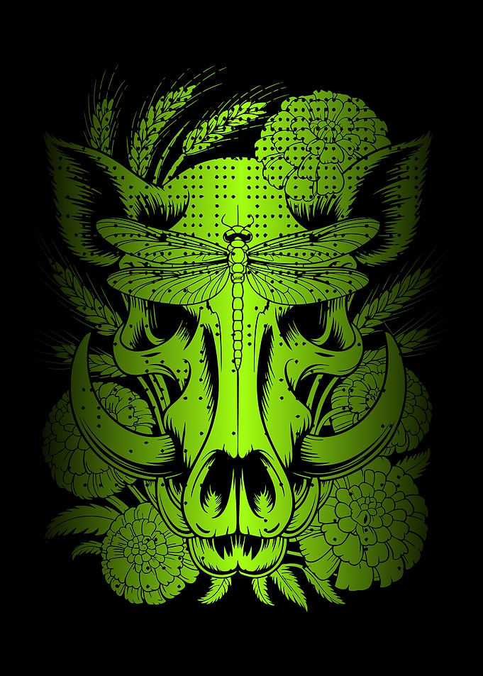 Boar Skull with Dragonfly and Flowers