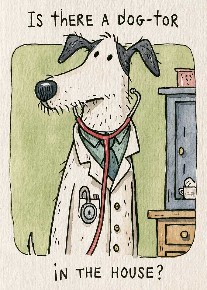 Dog Doctor Asking a Question