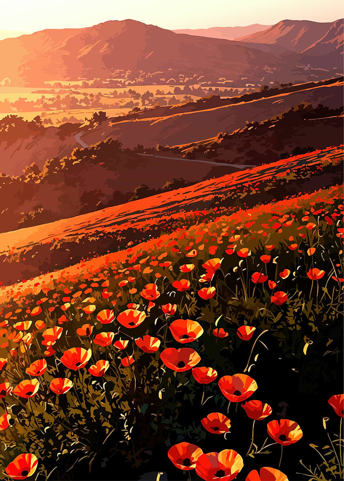 Poppy Field Landscape at Sunset