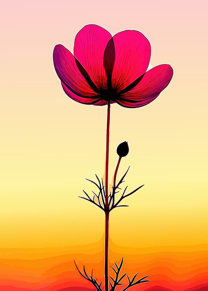 Vibrant Pink Flower Silhouette