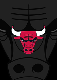 Chicago Bulls Iconic Charge