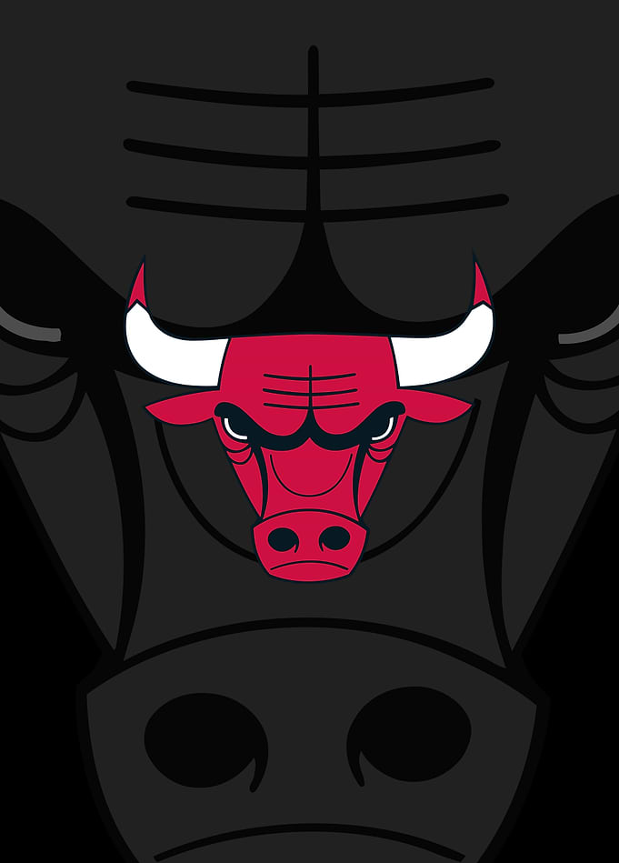 Chicago Bulls Iconic Charge