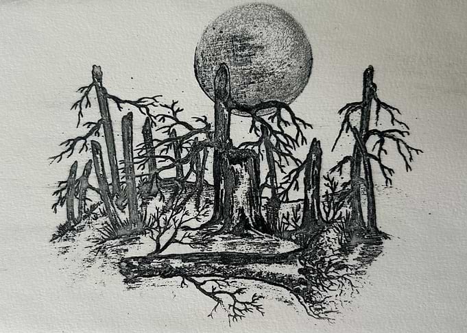 Moonlit Forest of Dead Trees - Hand drawn