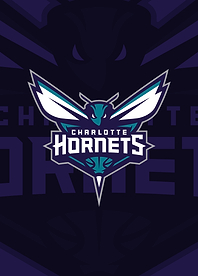 Charlotte Hornets The Hive's Buzz