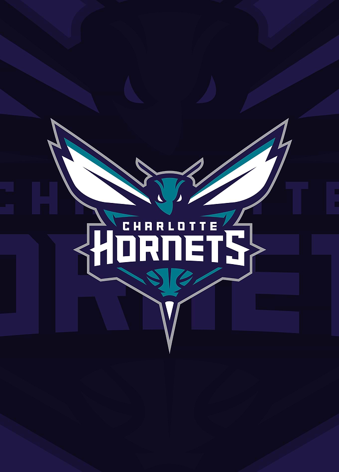 Charlotte Hornets The Hive's Buzz