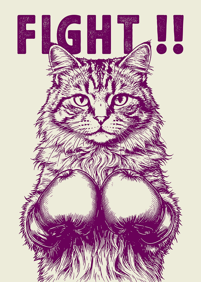 Boxing Cat 'FIGHT!!'