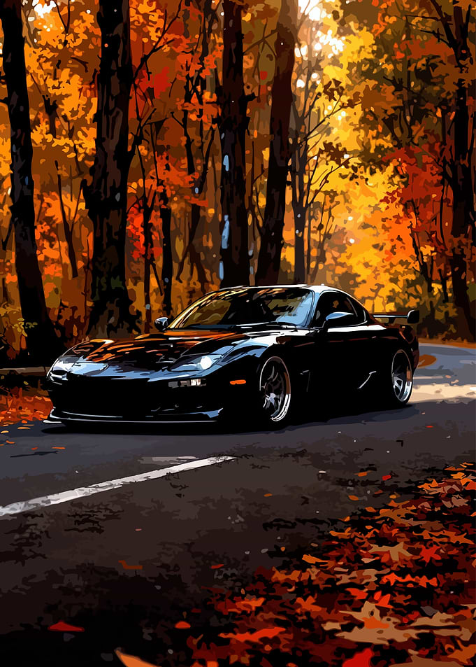 Black Sports Car in Autumn Forest