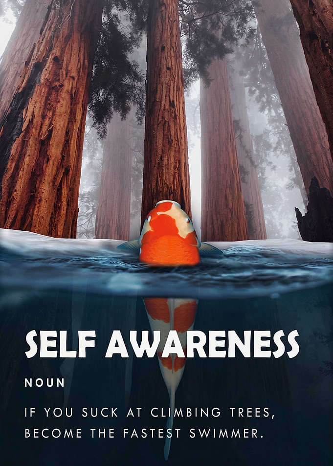 Self Awareness Definition Motivational Art