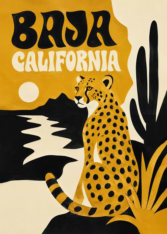 Baja California Cheetah Landscape