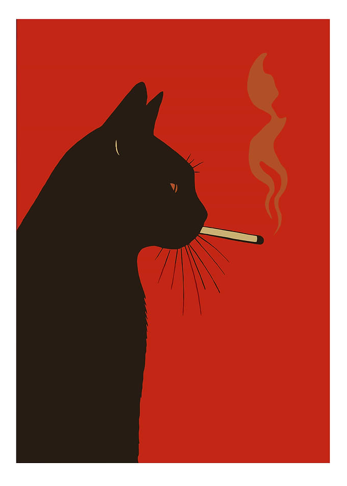 Black Cat Smoking Cigarette