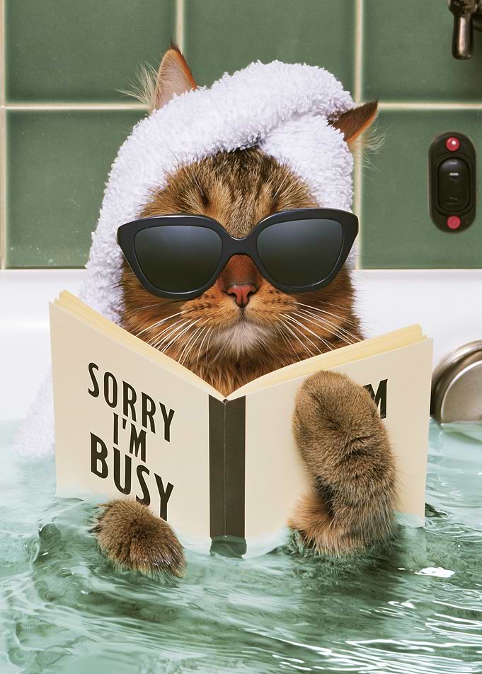 Cat reading a book in a bathtub
