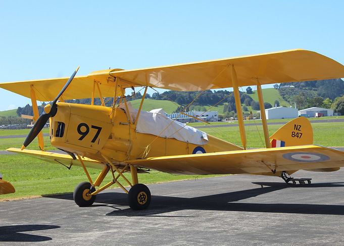 Tiger moth Photo