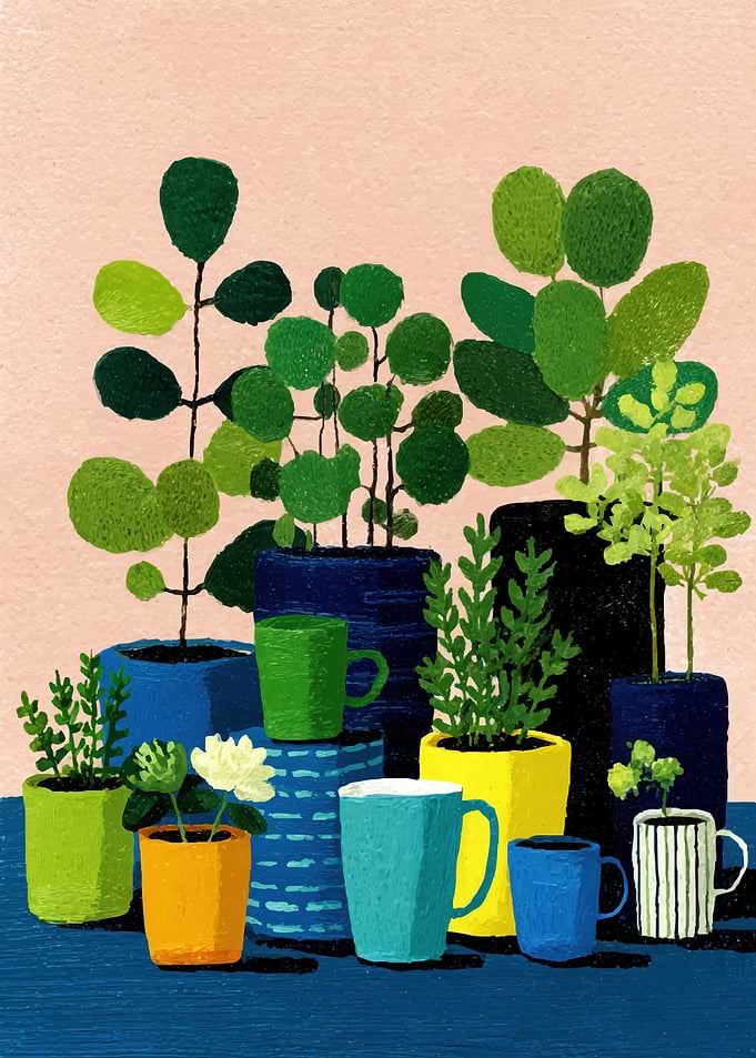 Potted Plants and Mugs