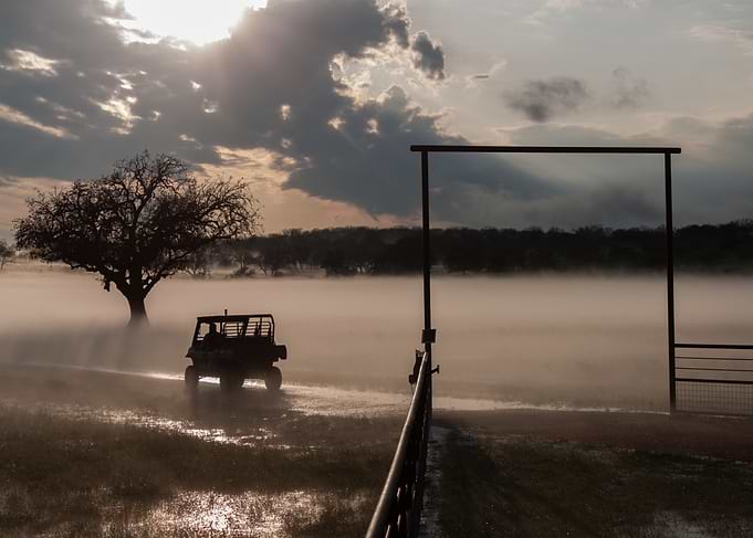 Farmer's Hazy Dream