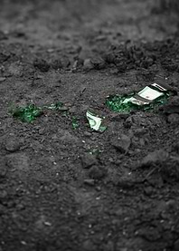 Shattered Green Bottle on Dark Soil