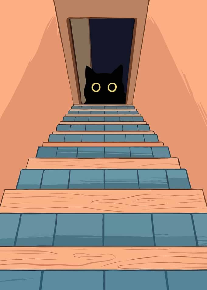 Black cat peeking from doorway