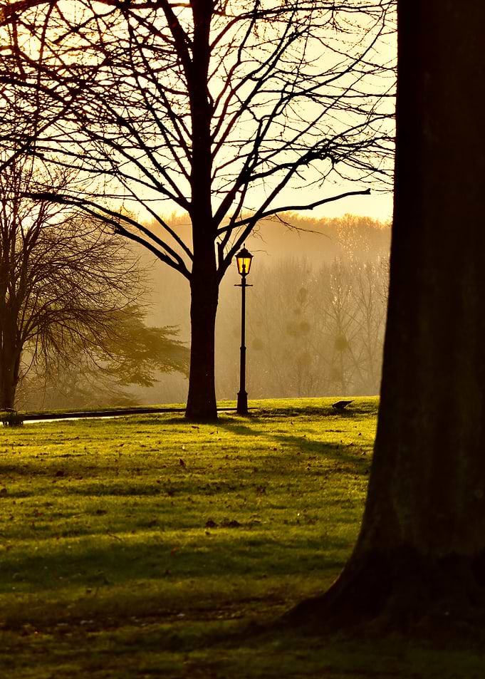 Evening Glow