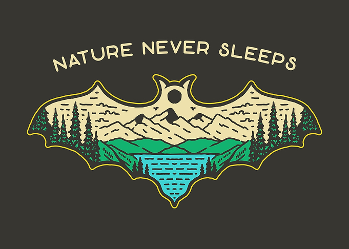 Nature Never Sleeps