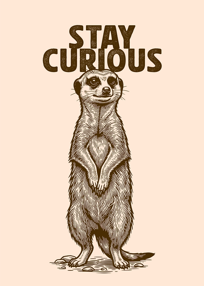 Meerkat 'Stay Curious' Illustration