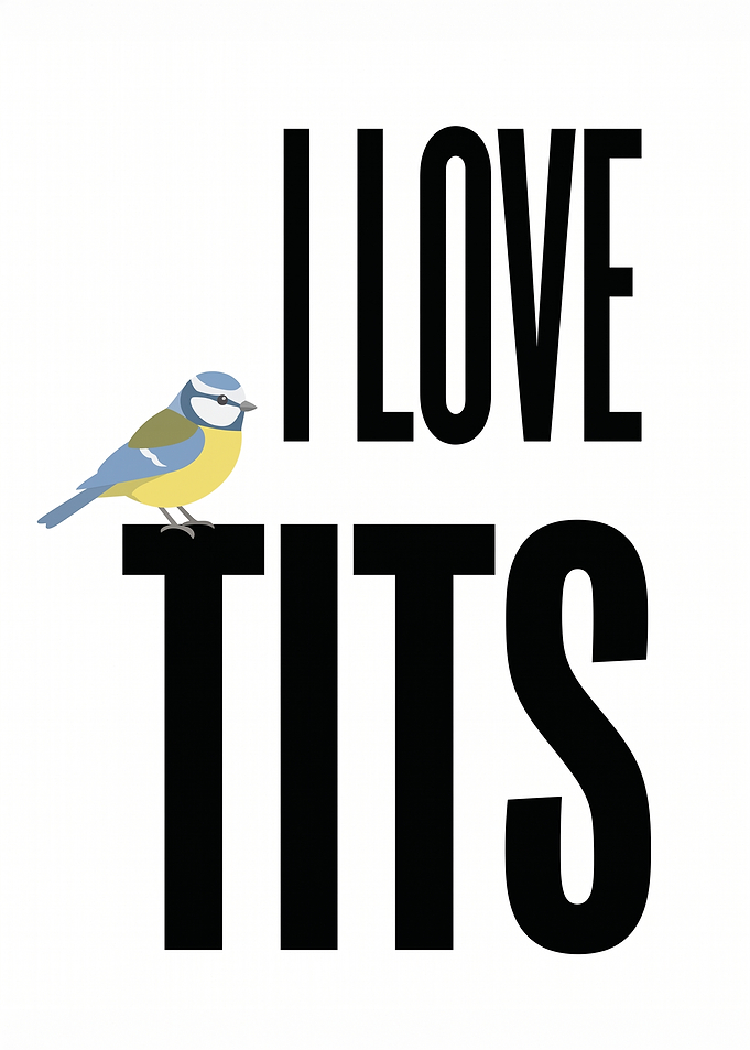 I Love Tits Bird Art