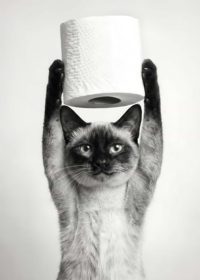 Siamese Cat Holding Toilet Paper Bathroom