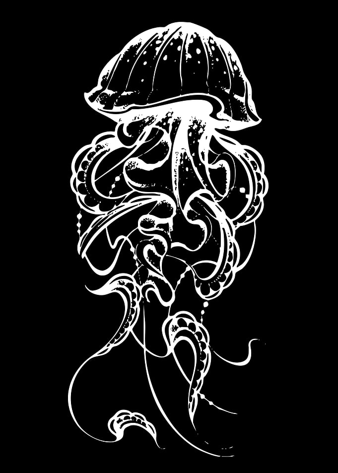 Jellyfish Illustration on Black Background