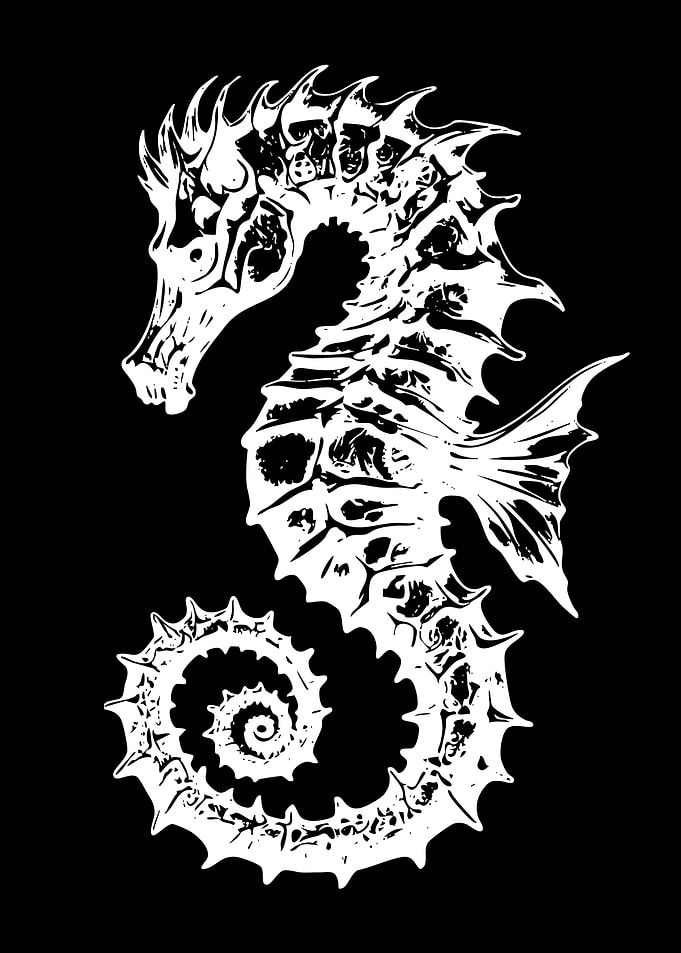White Seahorse Silhouette on Black