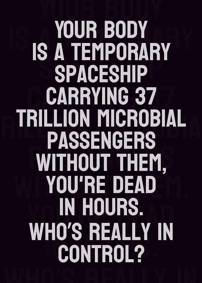 Love your body
