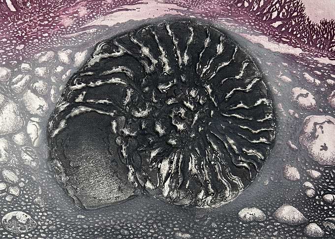 Ammonite Fossil - Hand drawn