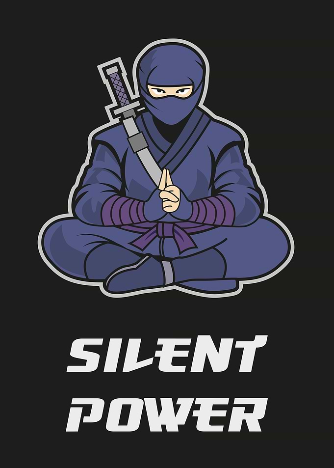 Ninja Zen - Meditating Warrior