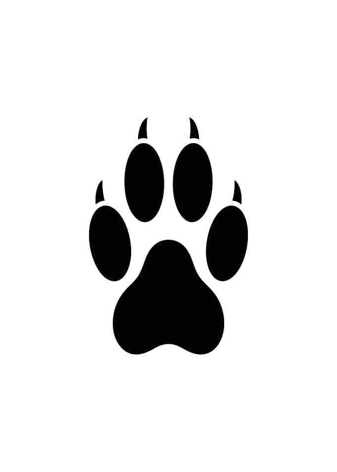 Black Paw