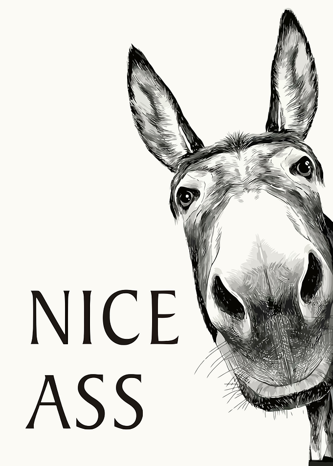 Funny Donkey