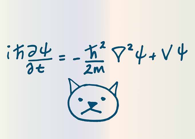 Schrodinger's Cat Equation