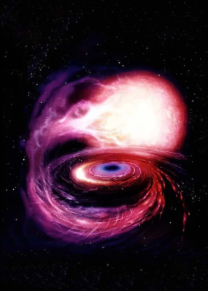 Black Hole Accretion Disk and Star