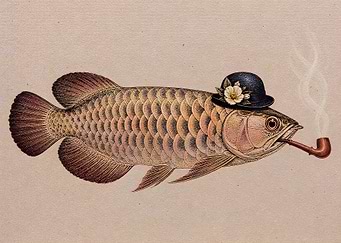 Fish Smoking Pipe Wearing Hat