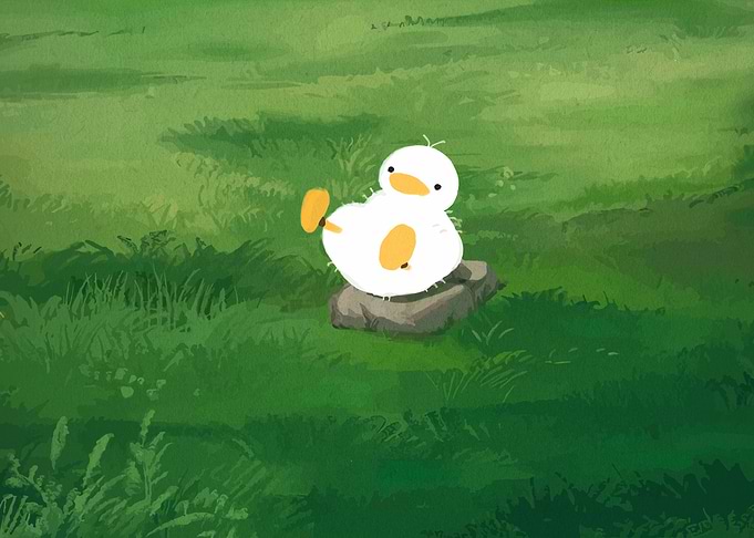 Cute Duck Resting on a Rock