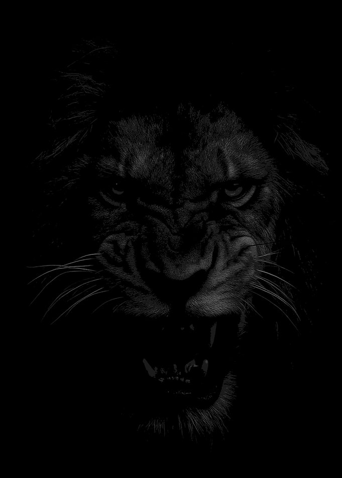 Fierce Lion Roaring in Darkness