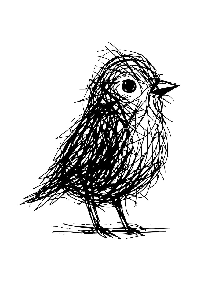 Bird Wall Art, Nature Desgin