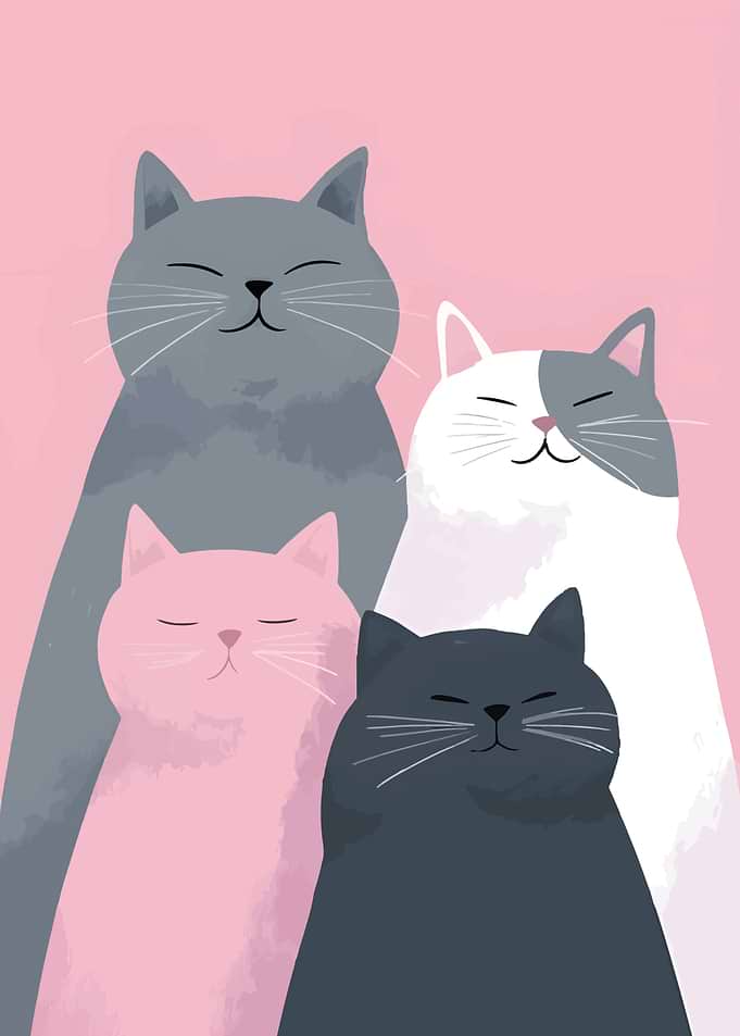 Four Cute Cats on Pink Background
