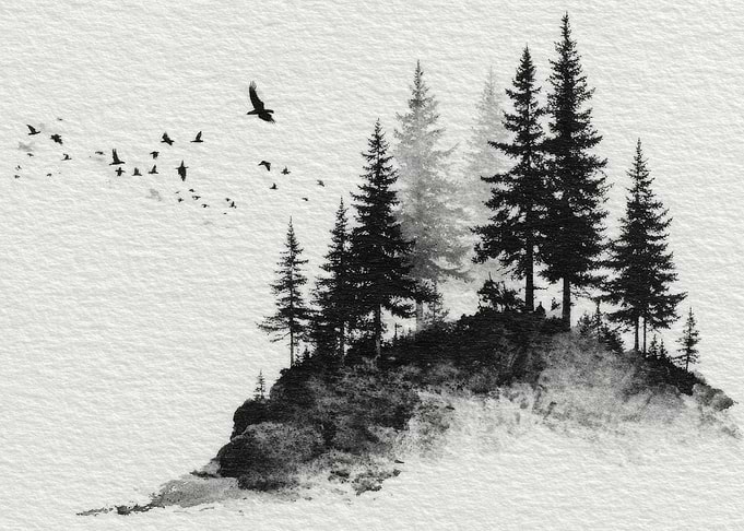 Birds flying over a forest island