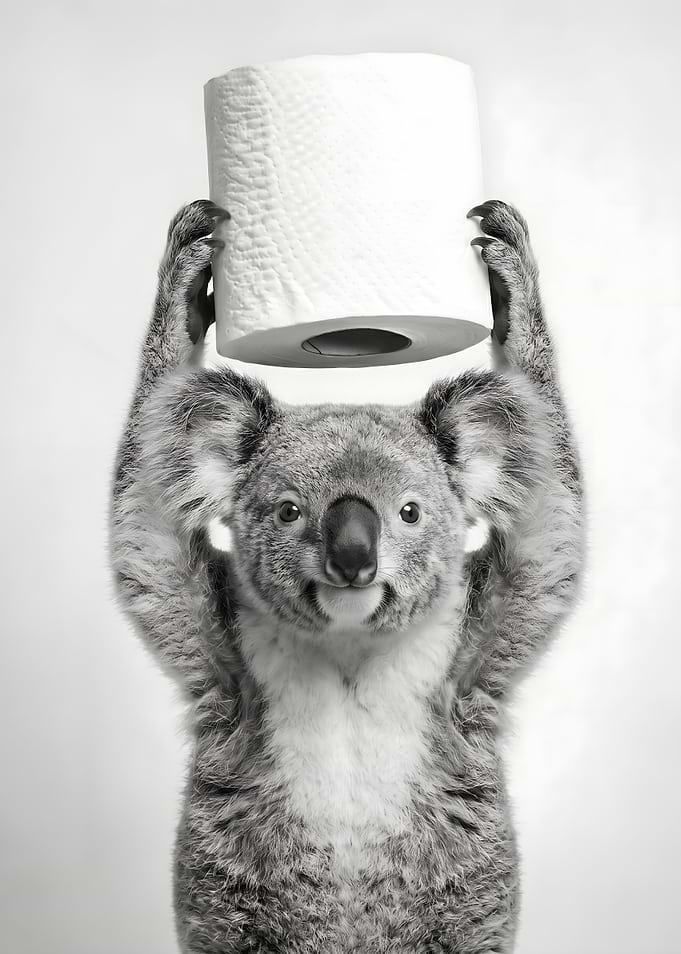 Koala holding toilet paper
