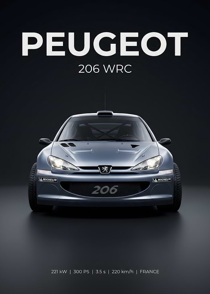 Peugeot 206 WRC Rally Car