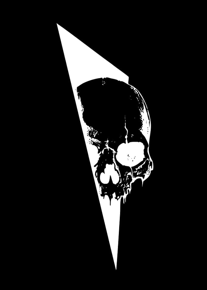 White Skull on Black Background