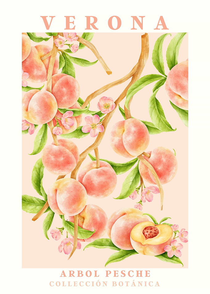 Peaches on a Branch